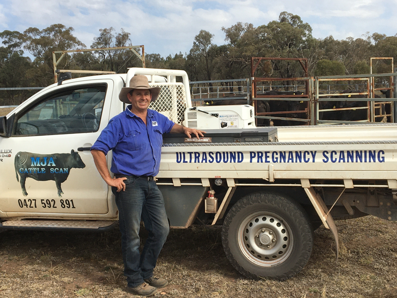 Mark Adams - MJA Cattlescan